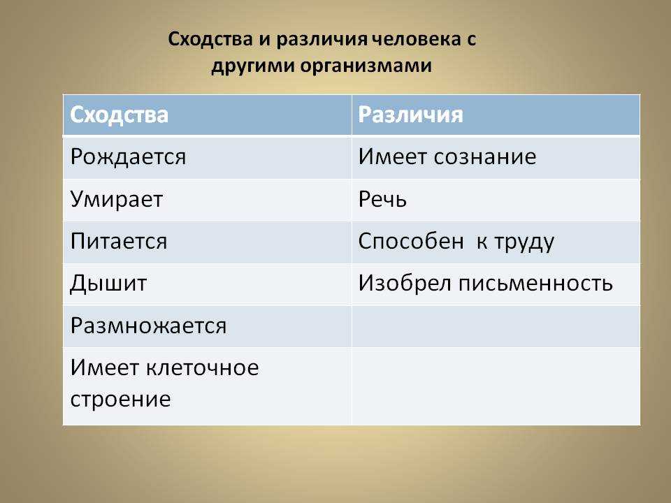 Роутер или свитч: в чем их отличие? - poznaniyamscan.ru