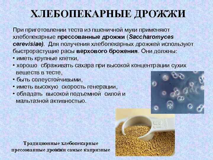 Чем отличаются свежие дрожжи от сухих. в чем разница спиртовых и хлебопекарных дрожжей в самогоноварении