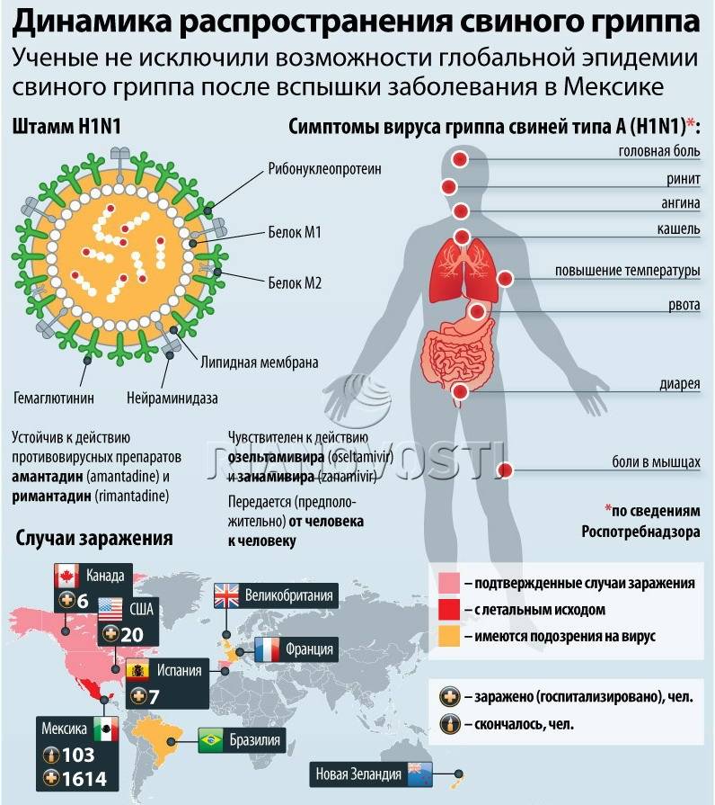 Лечение свиного гриппа у человека, детей, 2022 2023