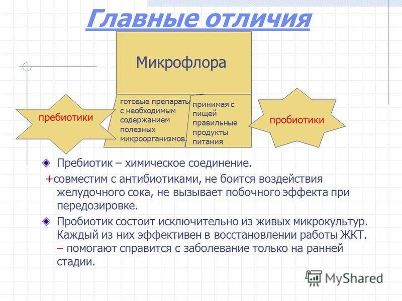 Пробиотики и пребиотики - в чем разница между ними, полезные свойства