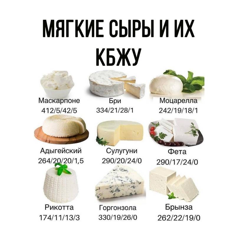 Сыр похожий на пармезан — oh italia