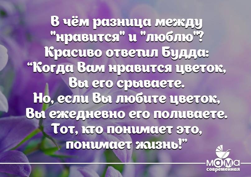 Обожать и любить: в чем разница, описание понятий и их основные отличия