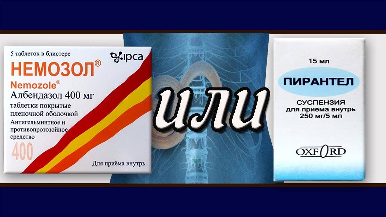 Противоглистные средства: рекомендуем правильно!