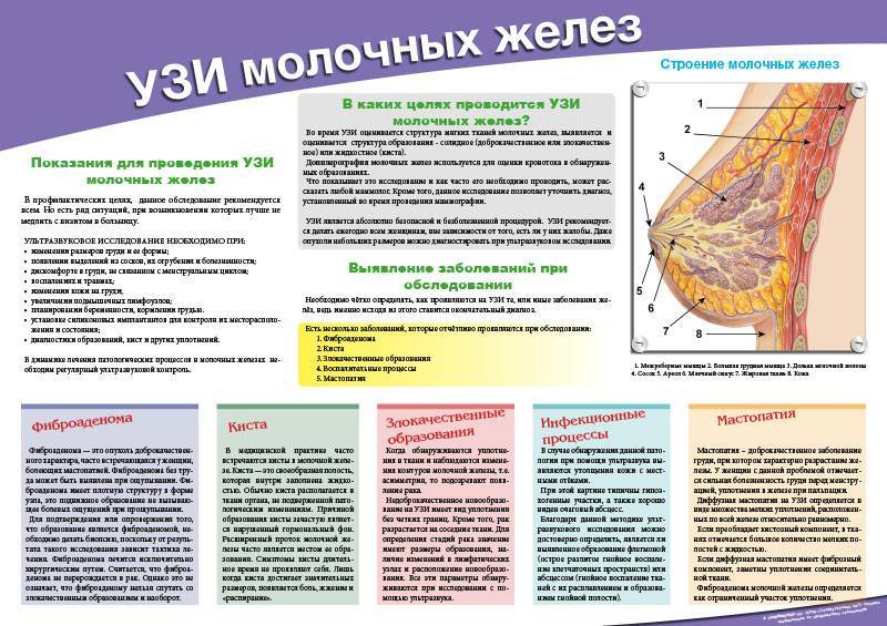 Узи молочной железы или маммография что лучше | что показывает узи молочных желез и маммография