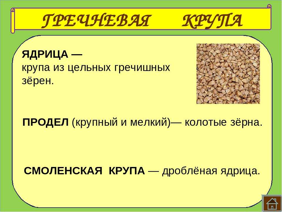Гречка или гречиха: в чем разница и как выбрать идеальное зерно?