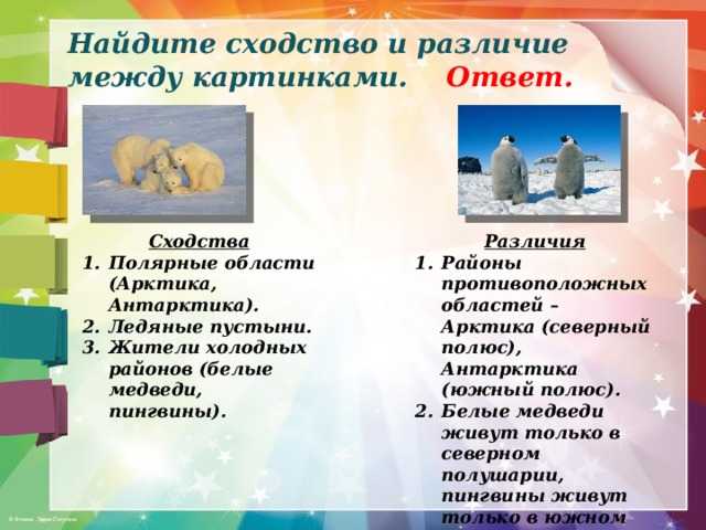 Антарктика - происхождение, расположение и основные характеристики