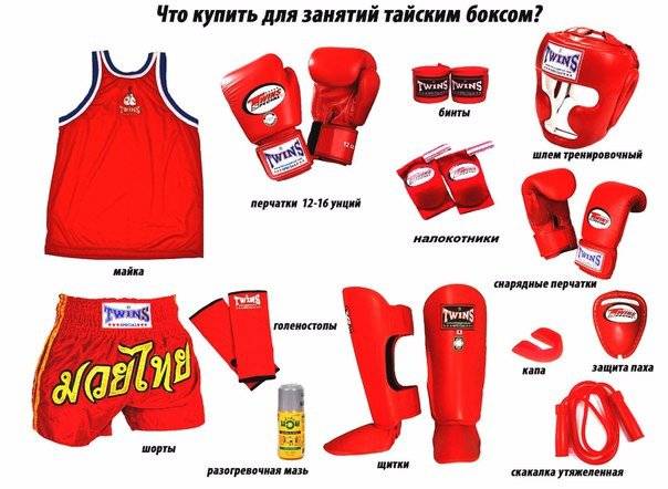 Чем отличается дзюдо от карате: что выбрать? что лучше? | wikifight.ru