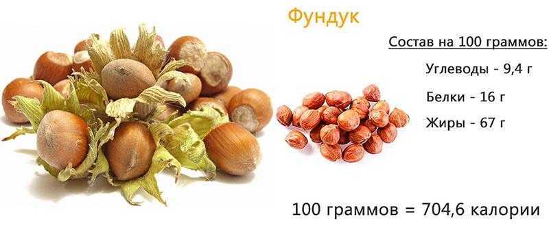 Фундук: польза и вред для организма. таблица калорийности и микроэлементов