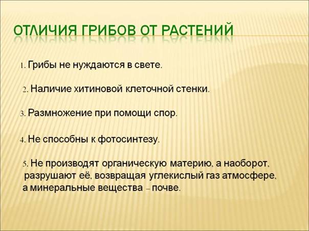 10 отличий между грибами и растениями - медицинский - 2024
