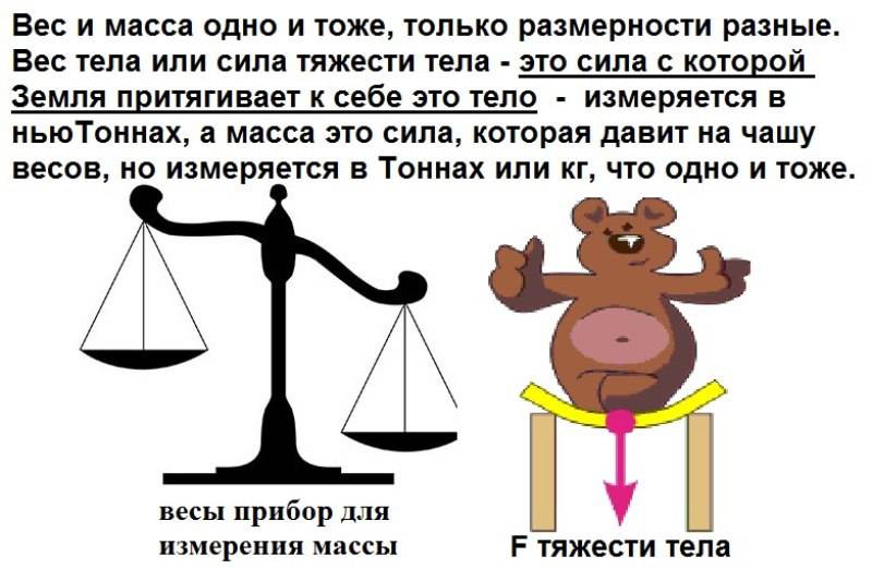 Различия между массой и весом для детей - наука 2024