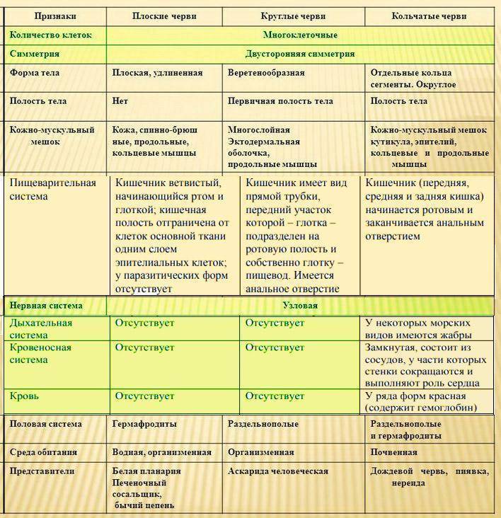 Разница между плоскими и круглыми червями - разница между - 2024