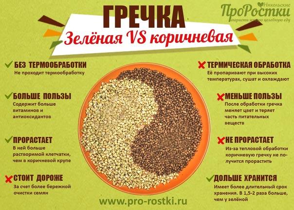 Чем зеленая гречка отличается от обычной и как готовить?