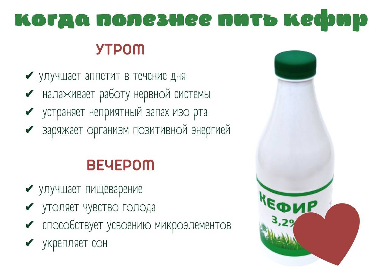 Ацидофилин: польза и вред, сравнение с кефиром