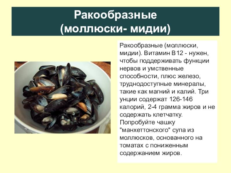 Разница между устрицей и мидией: основные отличия и характеристики