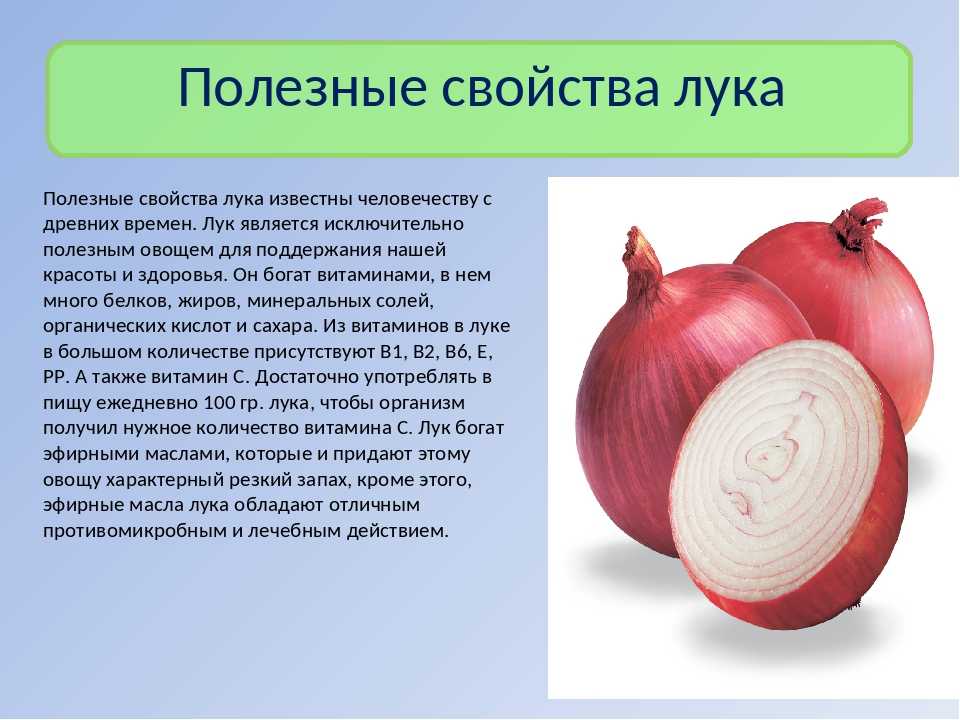 Чем отличается красный лук от обычного: какая разница, отличия, какой полезнее красный или белый