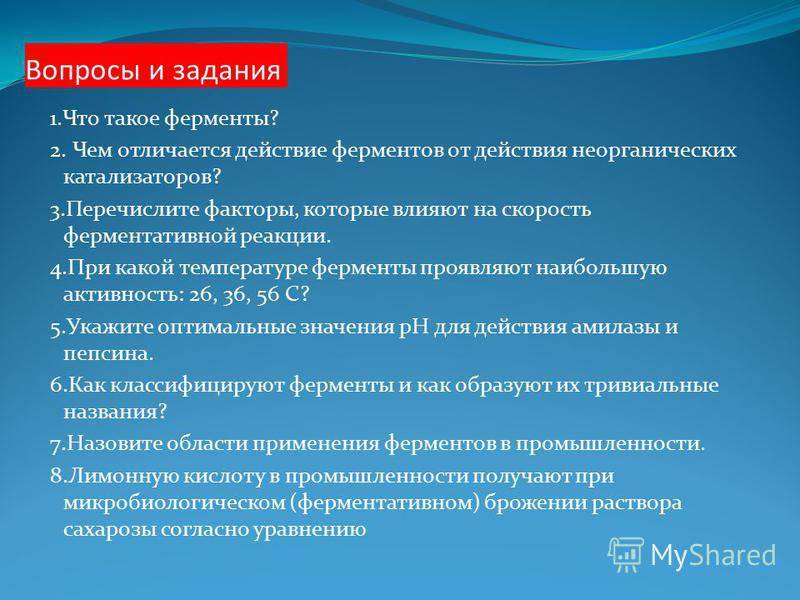 Катализатор против фермента - разница и сравнение