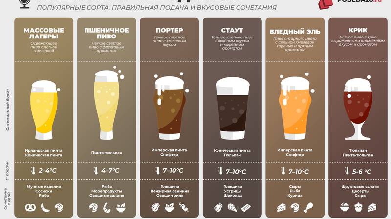 Чем эль отличается от пива + описание 11 сортов эля
