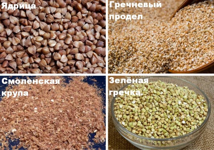 Гречка или гречневые хлопья — что лучше кушать? | польза и вред