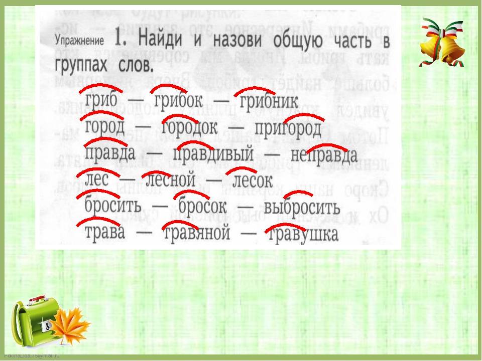 Различие между родственными словами и однокоренными словами — основные отличия и примеры