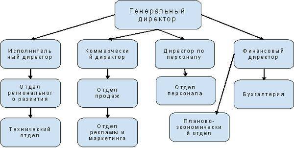Директор и руководитель: в чем отличие?