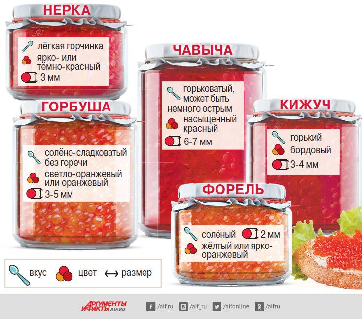 Какая красная икра лучше: кеты или горбуши, отличия и основные характеристики
