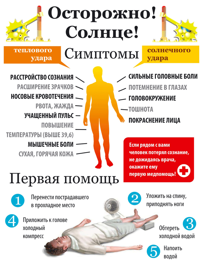 Чем отличается тепловой удар от солнечного? | в чем разница