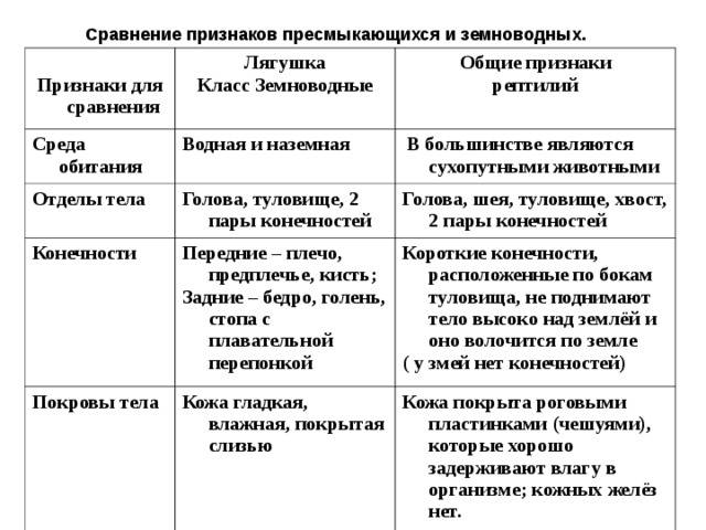 Вопросы и ответы по всевозможным темам - узнайте что-то новое!