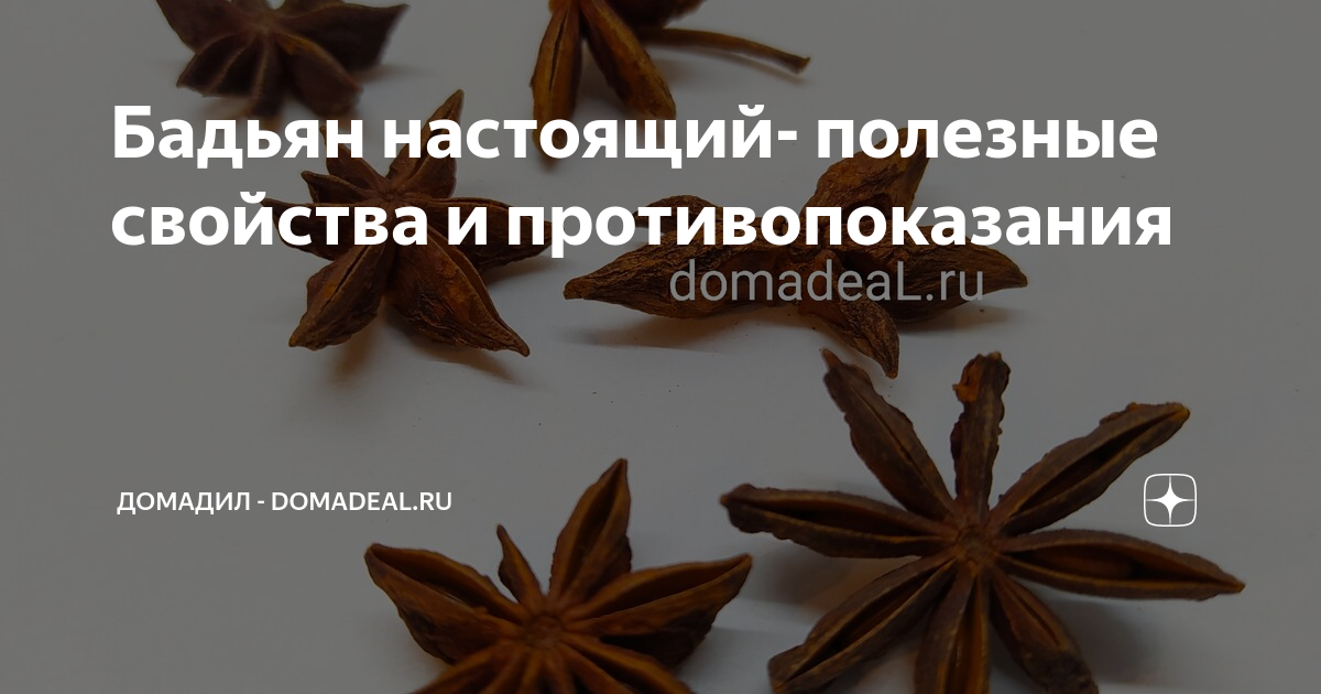 Бадьян и анис — основные отличия