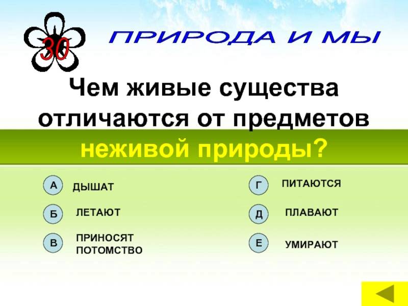 Чем организмы отличаются от тел неживой природы