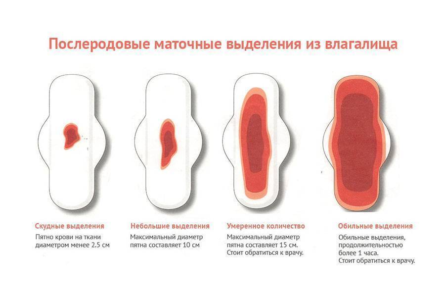 Ощущения перед месячными и при беременности отличия. симптомы пмс или беременности, как отличить