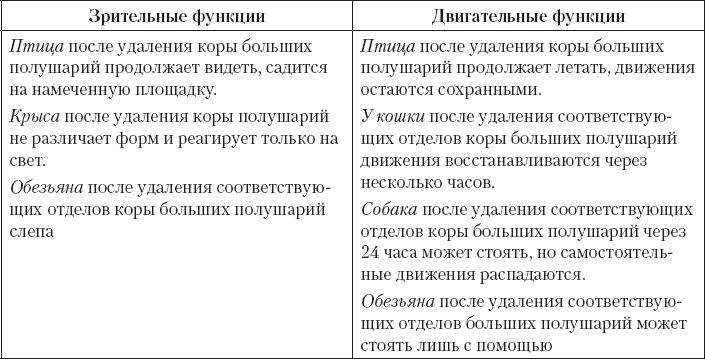 Чем отличаются турагентства от туроператоров