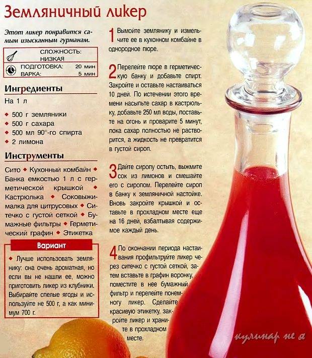 В чем разница между настойкой и наливкой?
