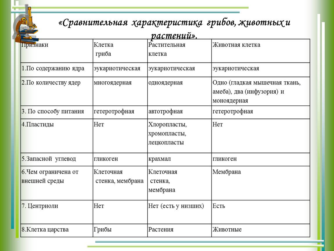 Разница между клетками животных и клеток растений (+ рисунки и полное объяснение)