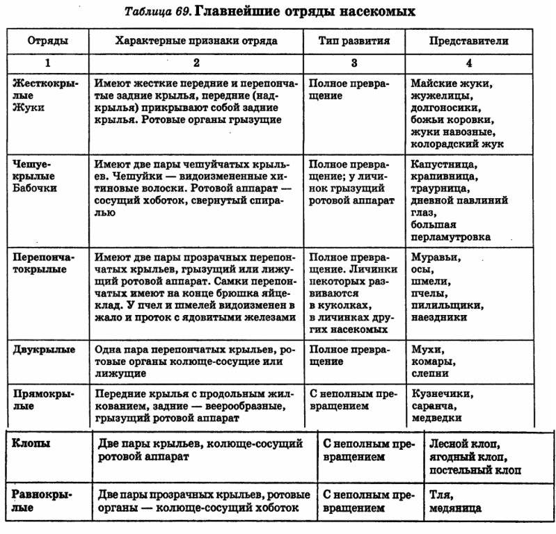 К какому классу относятся пауки — факты и виды