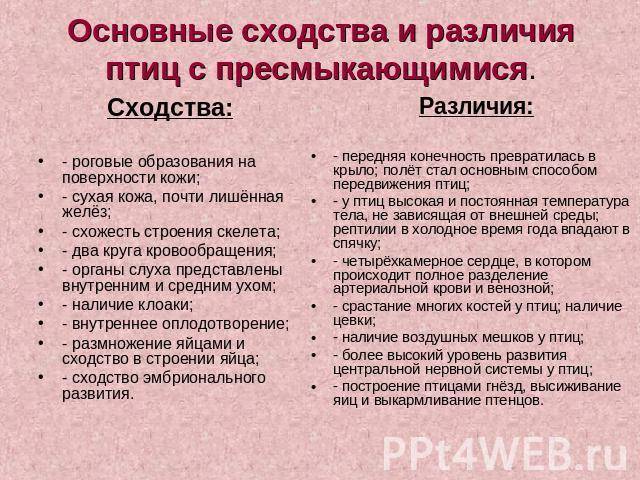 Сходства и различия млекопитающих и пресмыкающихся – примеры соответствия, сравнительные характеристики и особенности строения кратко (7 класс, биология)