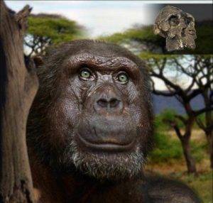 австралопитек