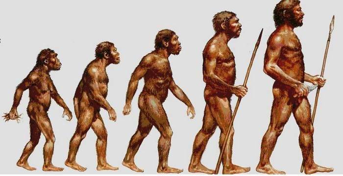 эволюция человека