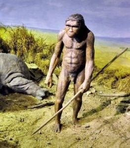 первые орудия труда