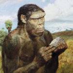 Род человек умелый