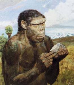 Род человек умелый