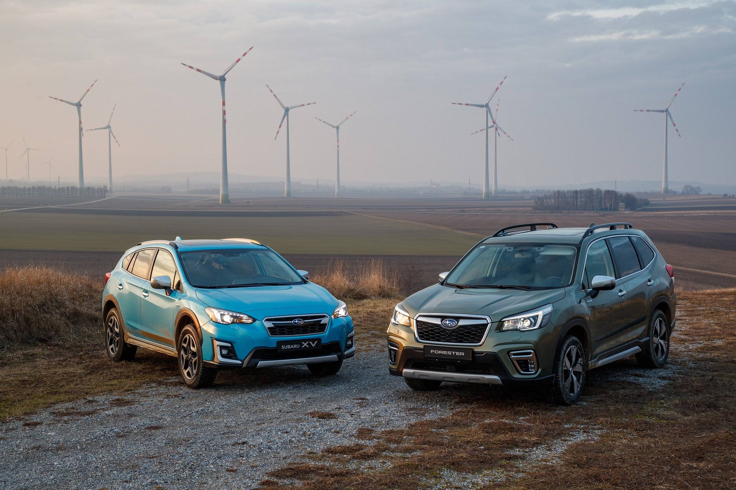 Honda cr-v vs forester, qashqai и tiguan