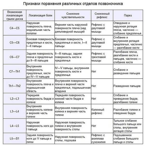 Отделы позвоночника у человека: таблица, особенности строения позвоночного столба