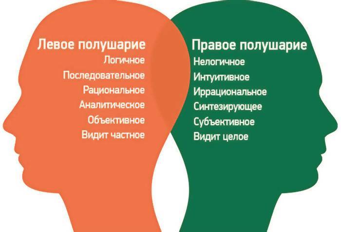 Ребёнок левша: особенности резвития и обучения детей