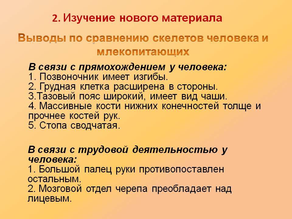 Каковы сходства и различия между скелетами человека и животных - разница между - 2024
