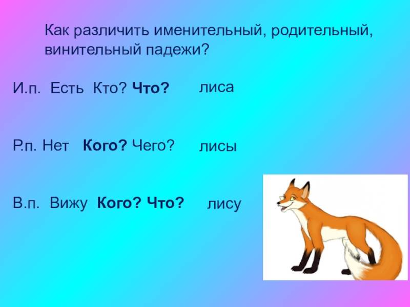 Падежи имён существительных