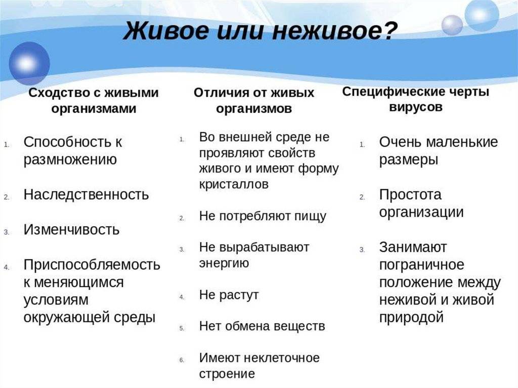Чем живая природа отличается от неживой: разница между организмами и объектами
