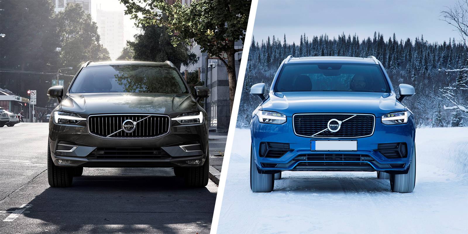 Bmw x5 vs volvo xc90 | readingandwrighting
