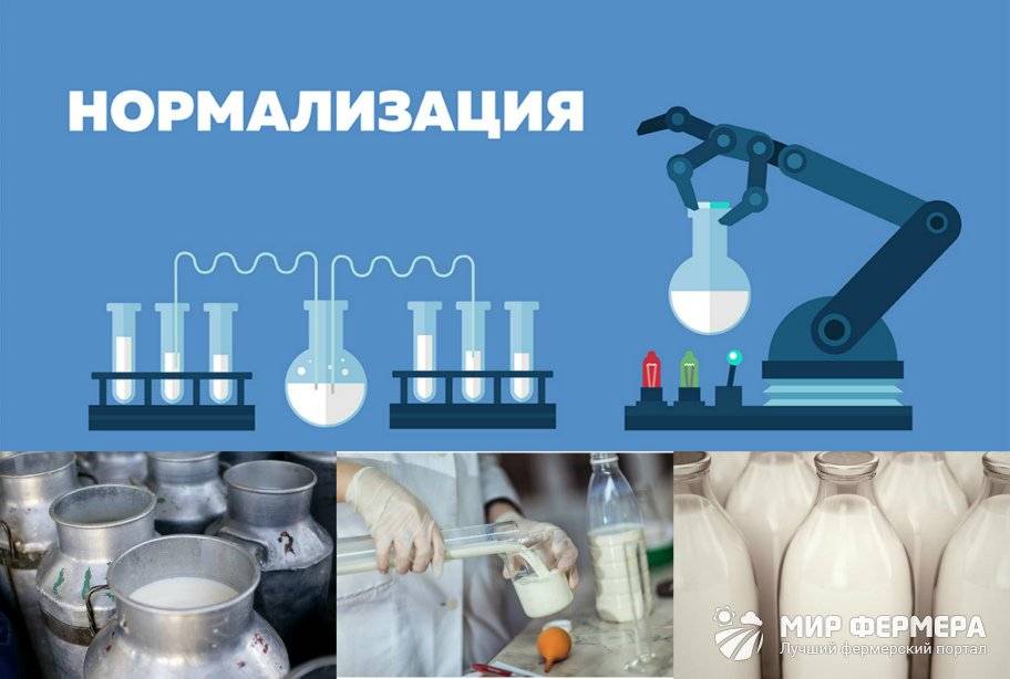 Нормализованное молоко — что это и чем полезно организму? нормализованное молоко – польза, вред и способы его применения
