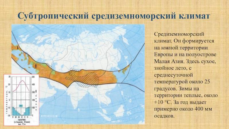 Тропики и субтропики: почва, климат и характеристика природной зоны.