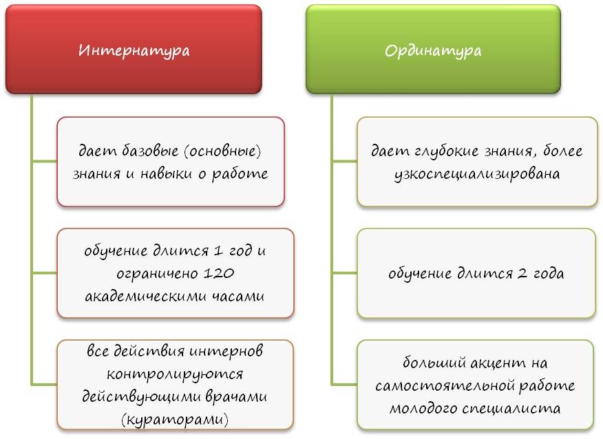 Интернатура и ординатура: в чем разница, правила поступления 2024, целевое направление, стоимость